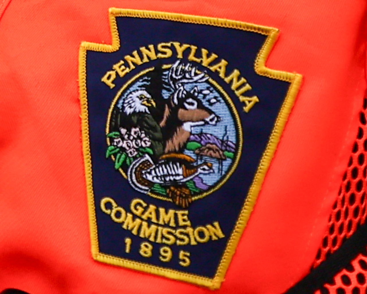 Crossbow bolt shot into Dauphin County home, Game Commission seeks help