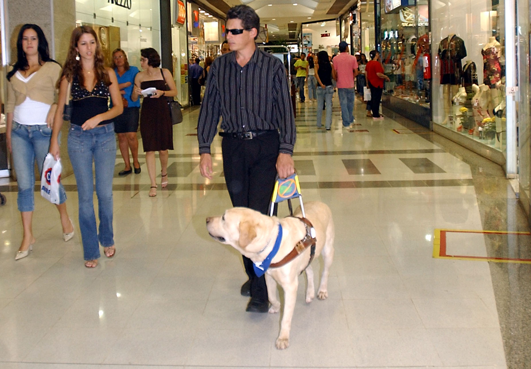 Cyprus moves to guarantee legal right for assistance dogs