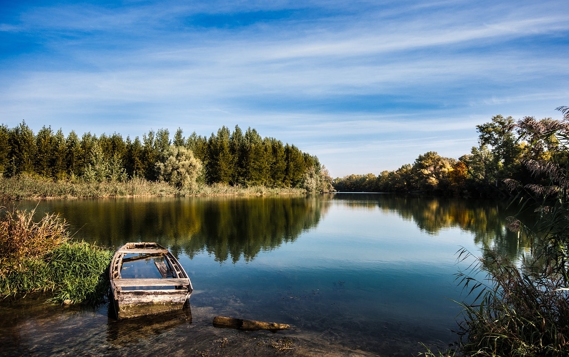 Danube Fish Monitoring Reveals Healthy, Diverse Populations and Rare Species