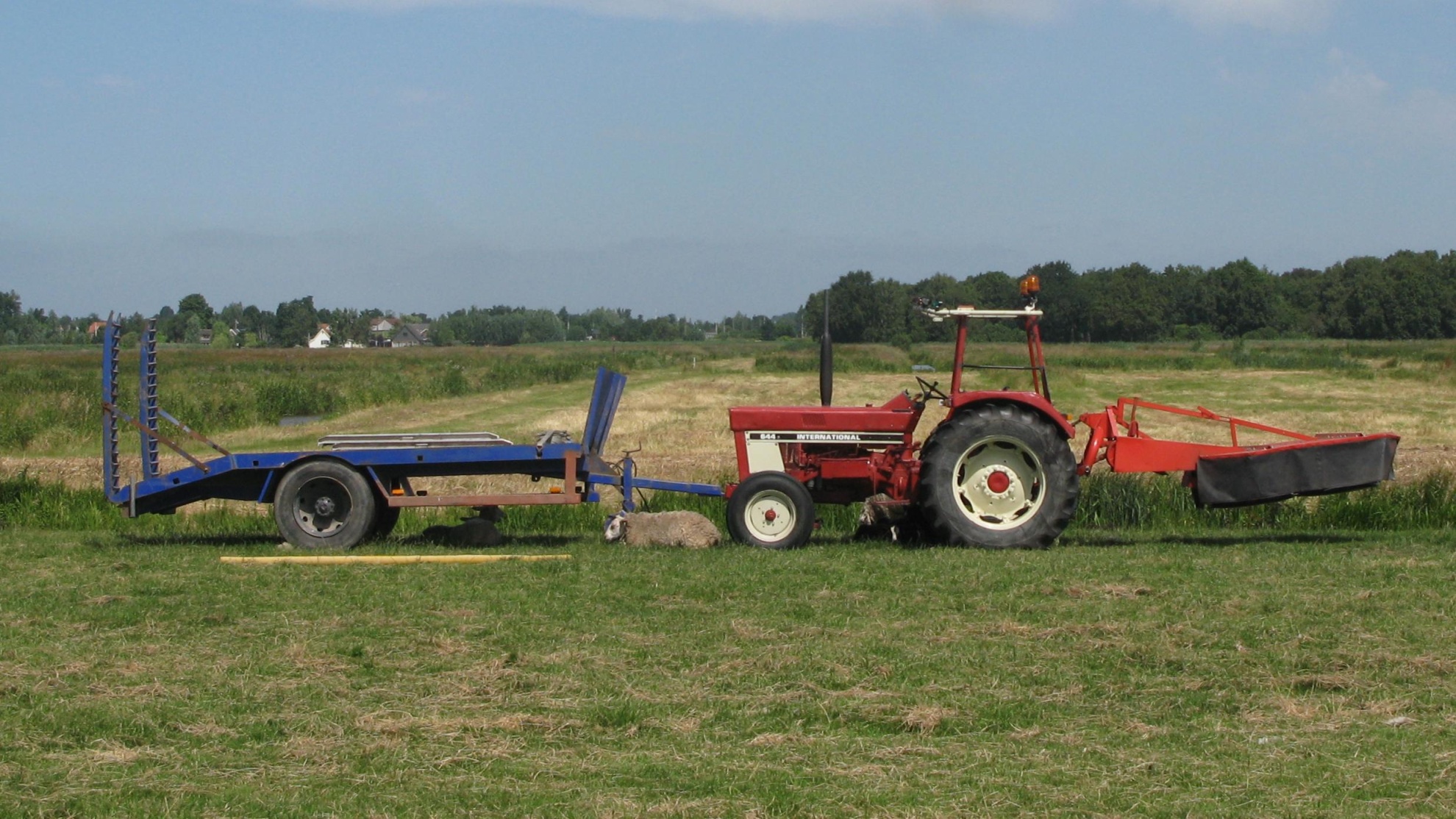 Dutch political parties "far too weak" on farming and climate