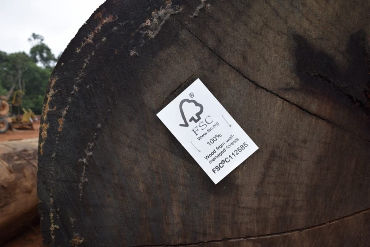 FSC to vote on new traceability rules amid fraud allegations