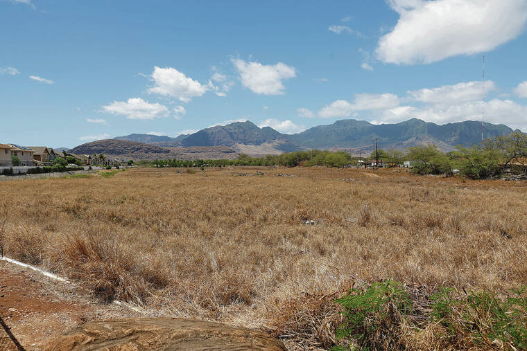 Forecasters issue fire weather watch for Hawaii due to low humidity, high winds