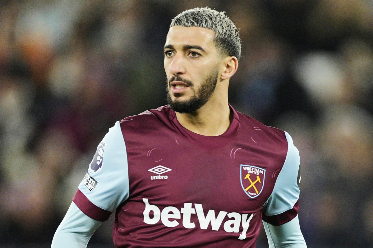 Former West Ham player Said Benrahma fined after his XL bully dogs attack golden retriever