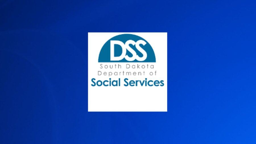 Former state employee indicted on falsifying reports