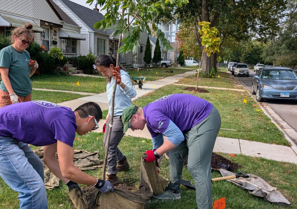 Fruit trees bring fearful community together in Blue Island
