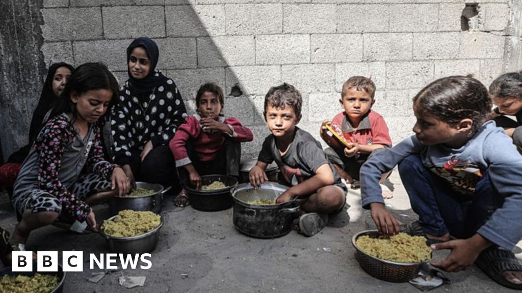 Gaza health crisis will last for 'generations', WHO chief warns