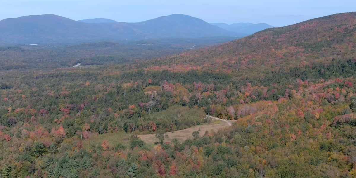 Glastenbury holds onto independent spirit