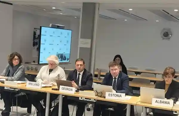 Gogita Todradze attends CES Bureau session in Geneva