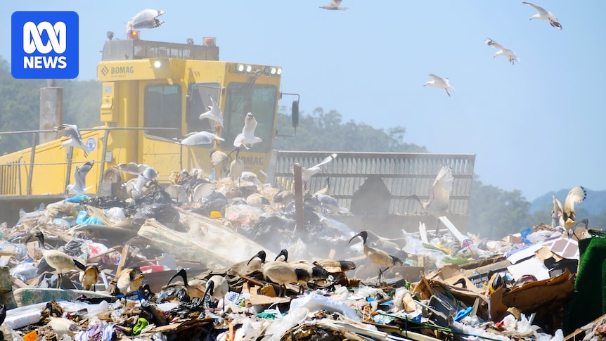 Gold Coast considers $1.6- billion waste-to-energy plan to deal with its rubbish