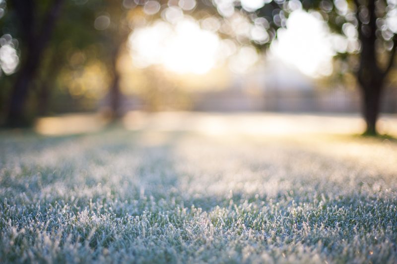 Goodbye 2025 Growing Season: Frost/Freeze alerts end after late October cold snap