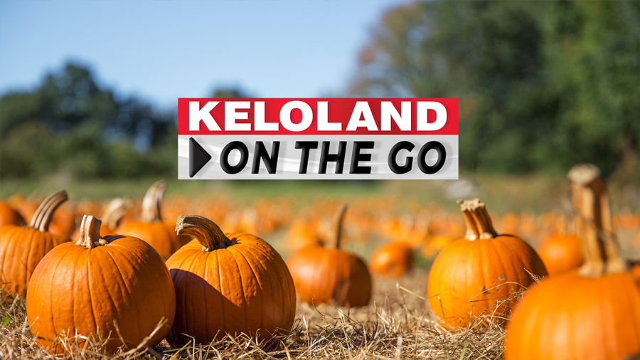 Grand Theft; Federal worker loans; Pleasant weekend