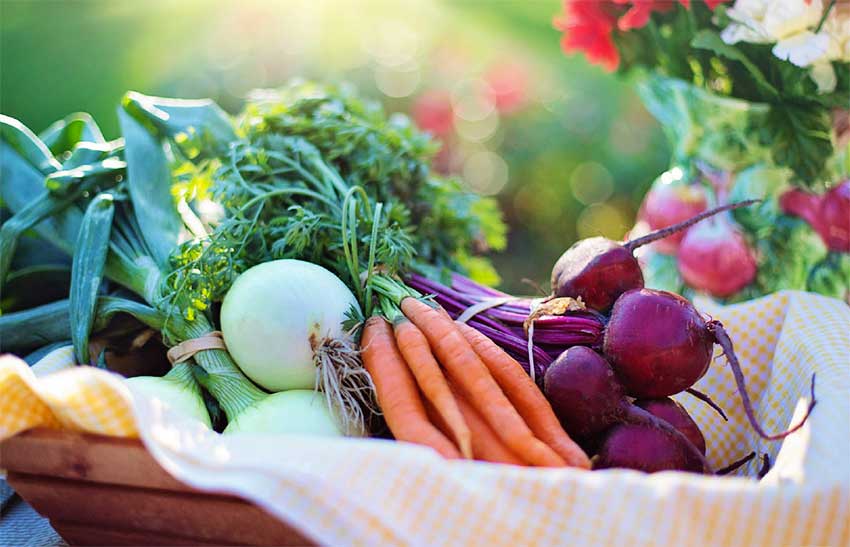 Hand in Hand for Better Foods and a Better Future
