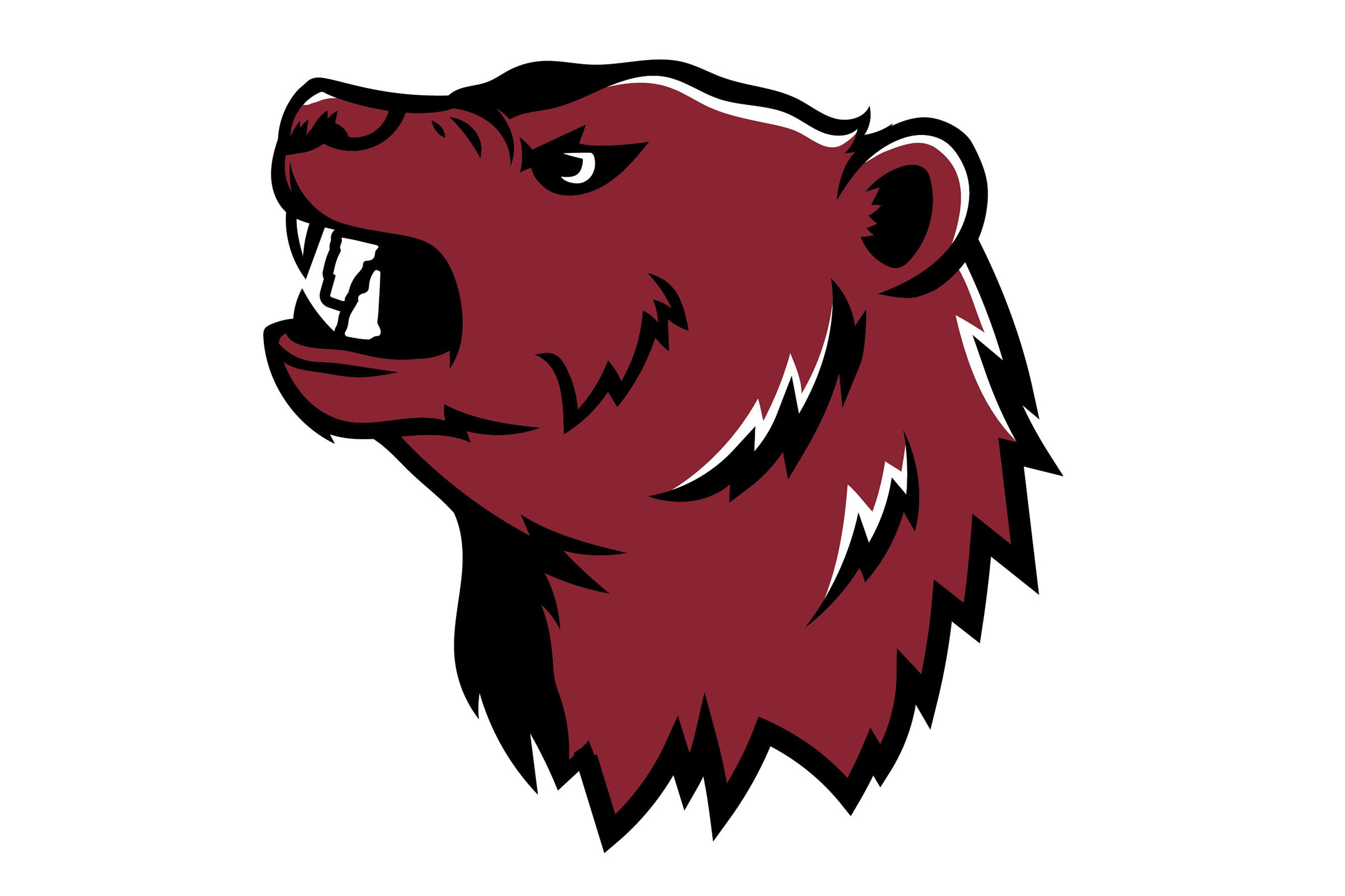 Hanover High Bears volleyball defeat St. Thomas Aquinas Saints