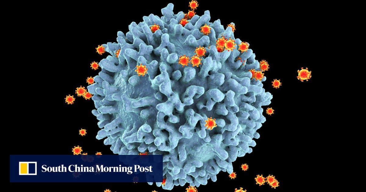 Harvard HIV scientist Xie Zhenfei joins China’s national virus lab in Wuhan