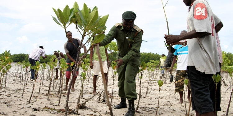 How To Apply For A Coastal Zone Management Permit
