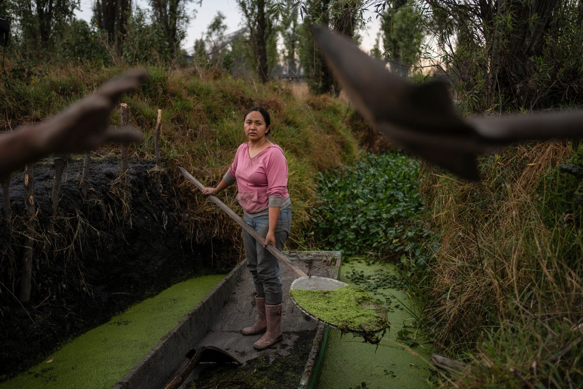 In Mexico, women didn't traditionally inherit island farms. Now some are determined to protect them