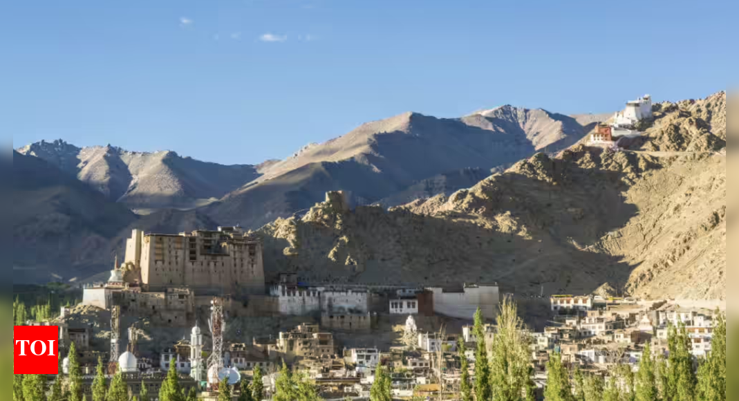 Internet services restored in Leh | India News