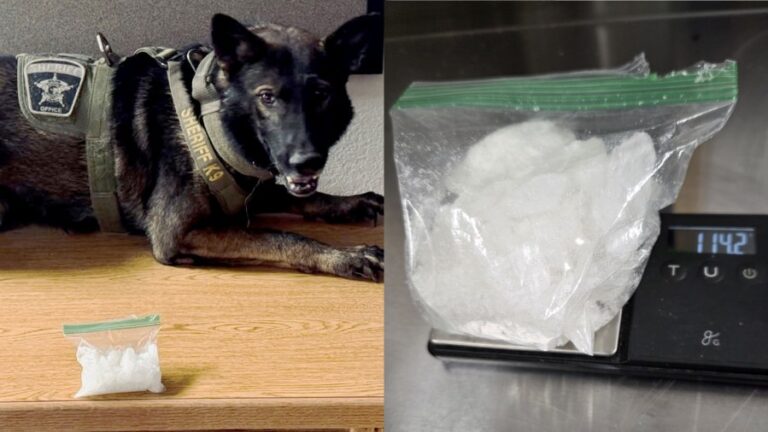 MCSO: Woman arrested, traffic stop reveals more than 100 grams of meth ...