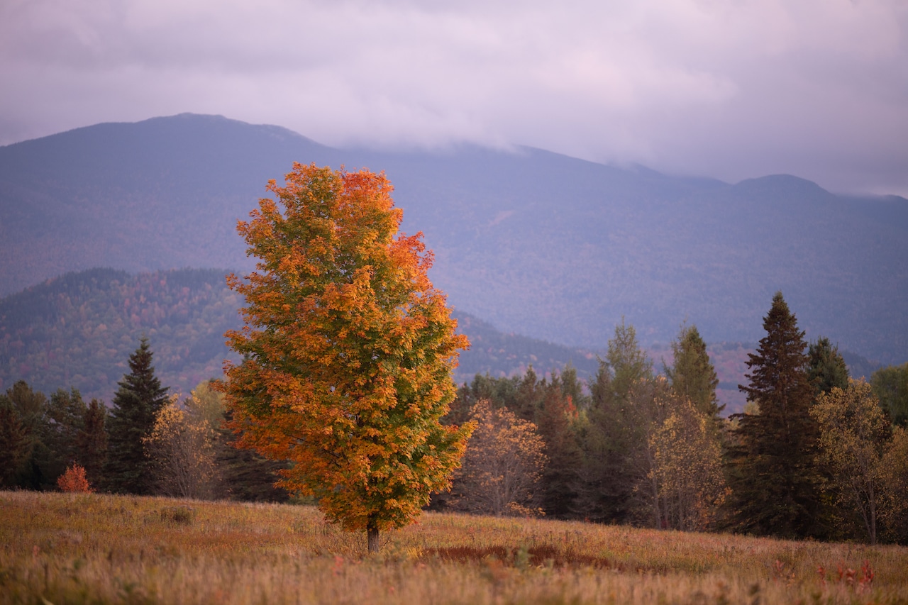Mass. weather: Warm, dry weekend to give way to autumn chill and rain