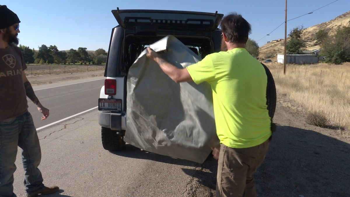 State law allows you to salvage roadkill but encourages it be tested for CWD (Chronic Wasting Disease).