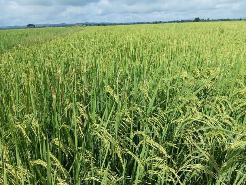 photo 2025 10 30 15 13 37