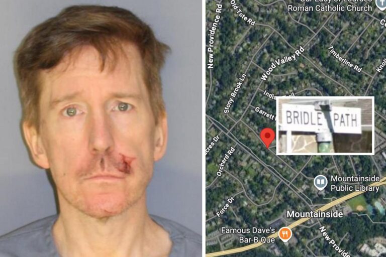 Mountainside man charged with attempted murder after standoff – CONVEN ...