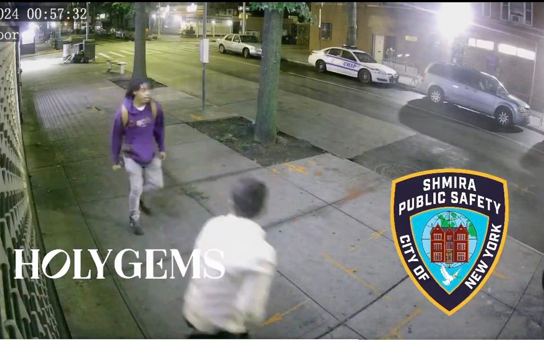 NY man who stabbed Israeli, shouted 'Free Palestine' sentenced to 5 years