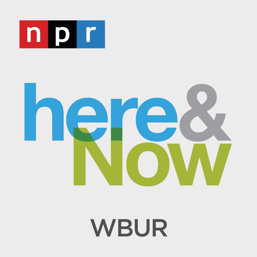 National Book Award finalist asks: Does the foster care system endanger children?