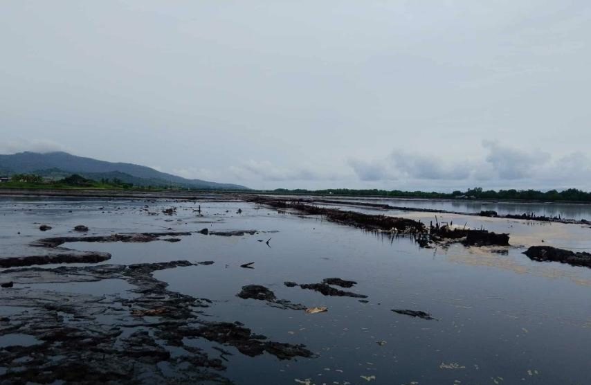 Negros Oriental molasses spill spreads across 3,000 hectares