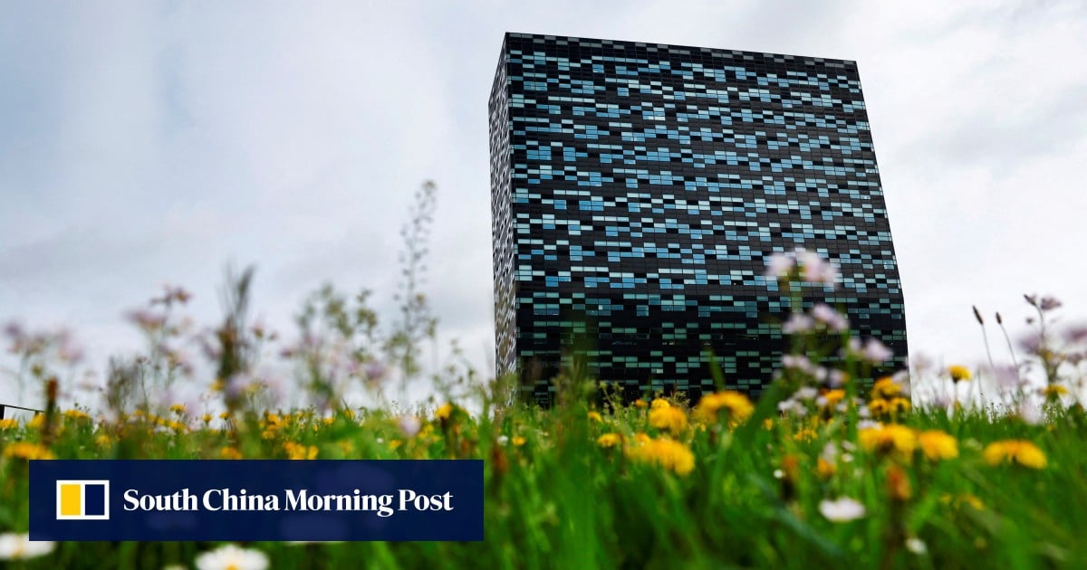 Netherlands faces pressure to surrender control of Nexperia after Xi-Trump summit