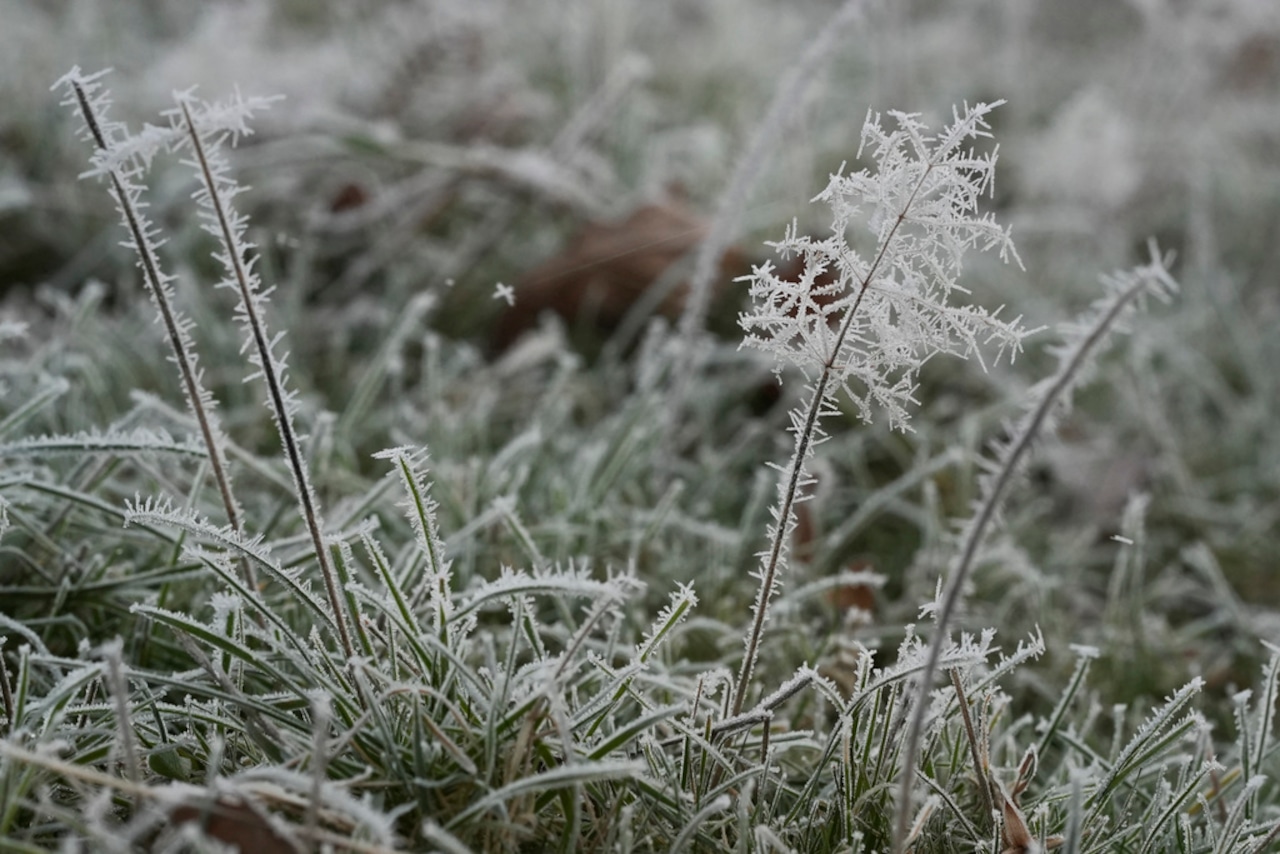 New winter forecast released, and frost is on the way for parts of central Pa.