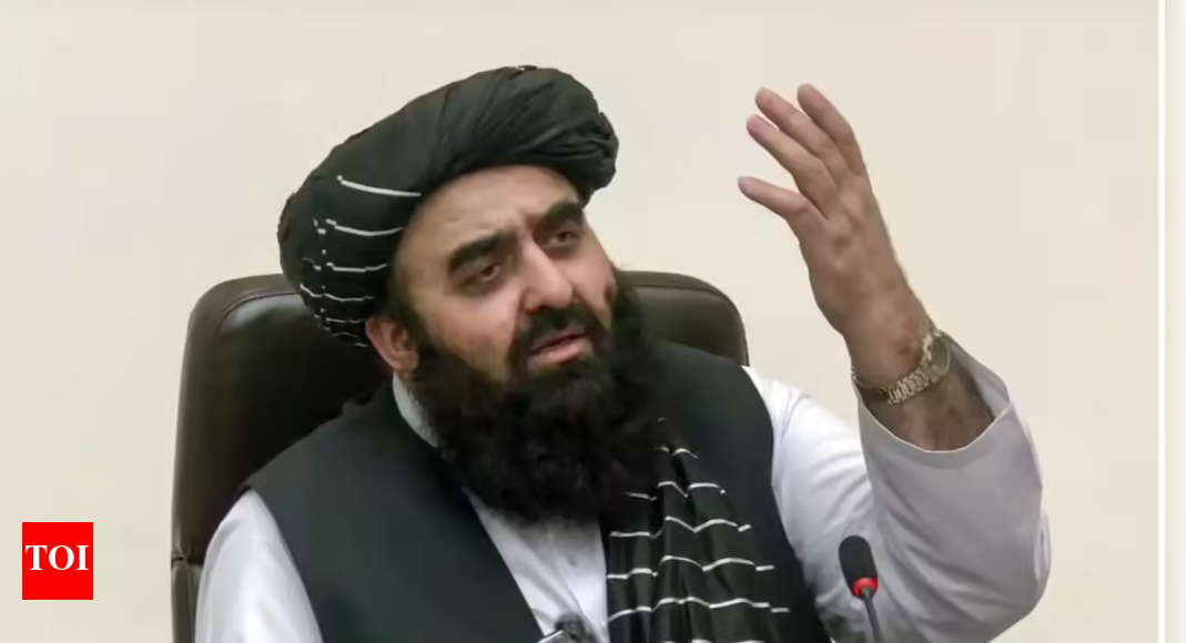 No role in Taliban presser that kept women out: MEA | India News