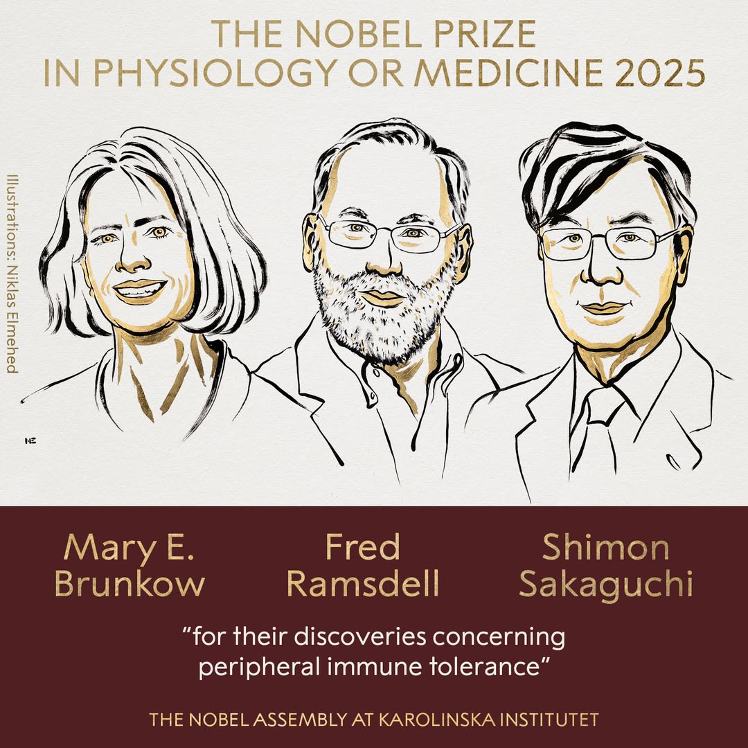 Nobel Prize in Medicine honours breakthrough on immune system’s ‘brakes’
