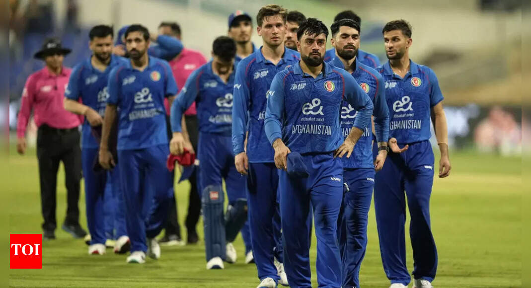 PCB issues status update on Tri-Series after Afghanistan's withdrawal | Cricket News