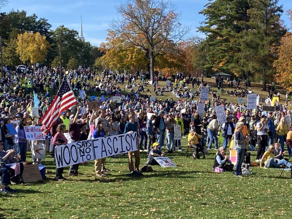 Protesters wave banners at the &quot;No Kings&quot; rally on Boston Common. (Robin Lubbock/WBUR)