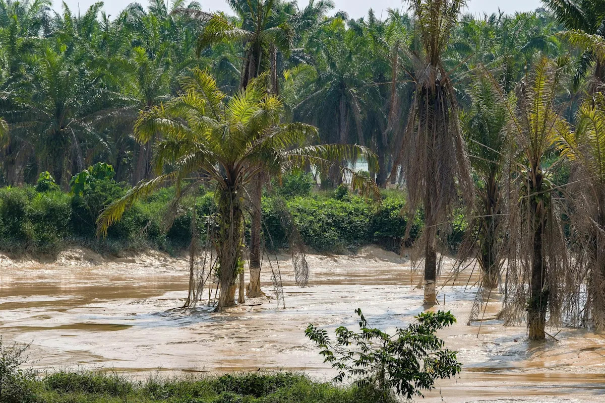 PUB’s Johor River Waterworks temporarily suspended following reports of water pollution