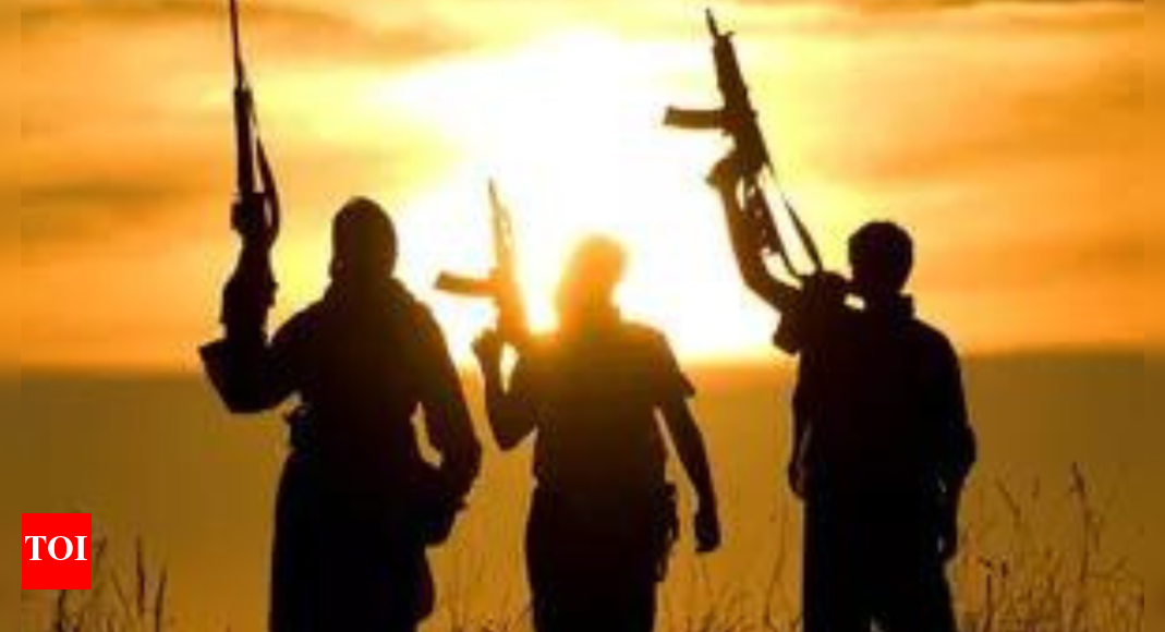 Paramilitary attack in Sudan: 53 killed, including children and women; refugee shelter bombed in Darfur city