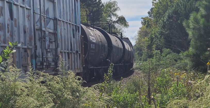 Pedestrian dead after Smithfield train collision near East Market Street, police say
