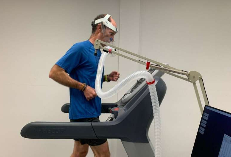 Physical activity raises daily calorie burn without conserving energy used elsewhere, study finds