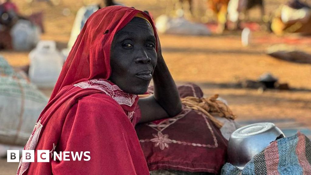 Reports of mass killings in el-Fasher in Darfur have echoes of country's dark past