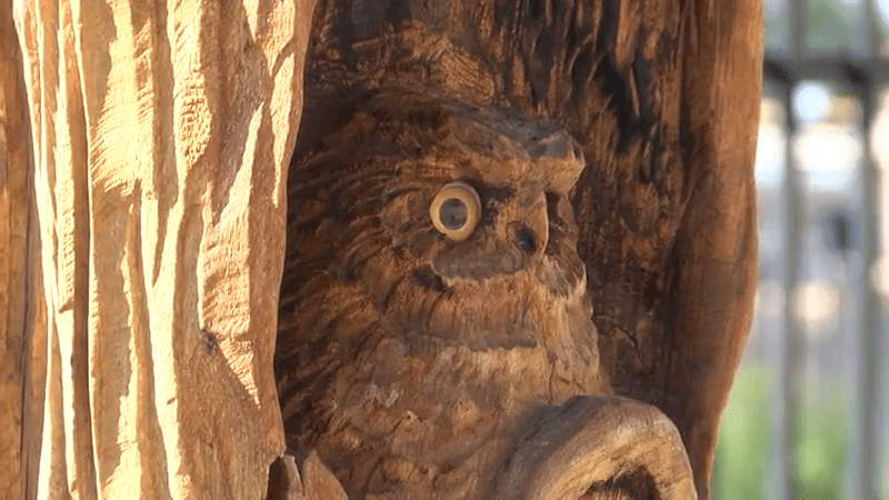 Retired AFR firefighter shares his talent of carving wooden sculptures