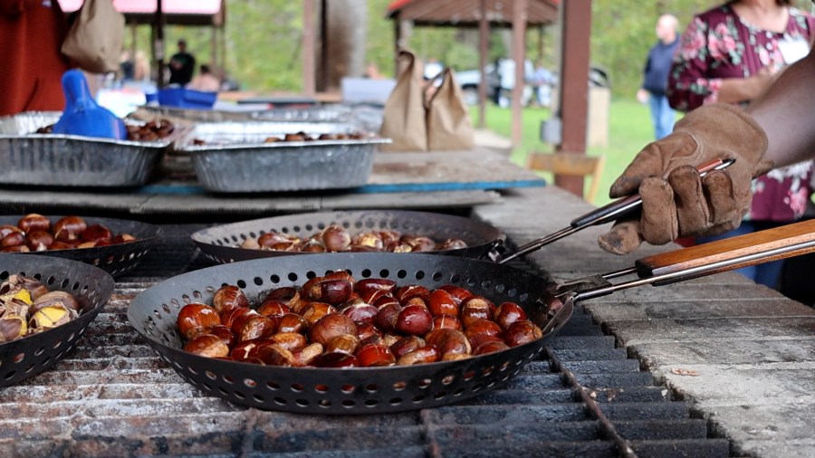 Rowlesburg's Chestnut Festival honors the American chestnut tree