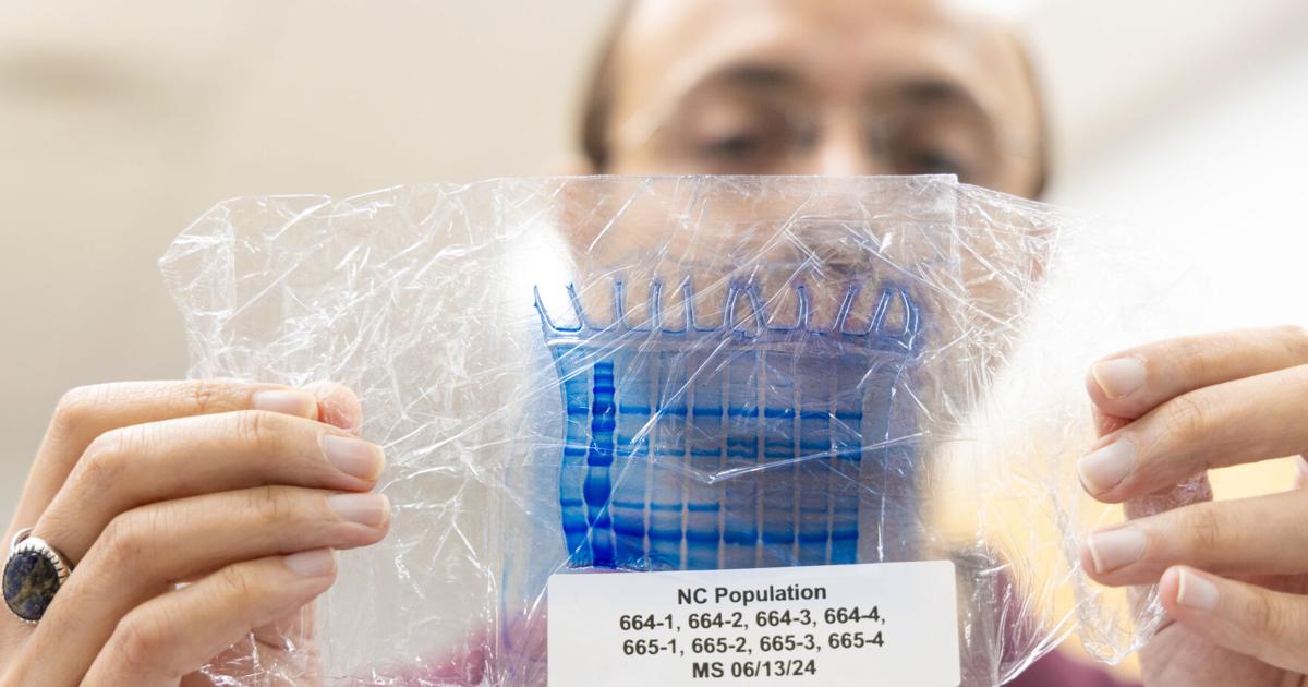 SC research universities feel impacts of federal shutdown