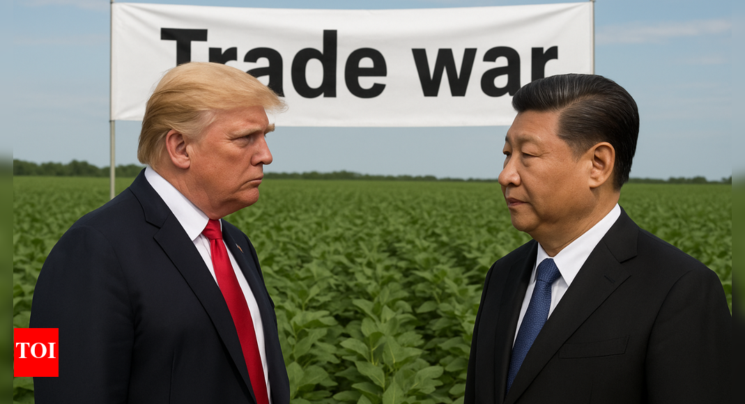 Soy long, America: China buys zero US beans for first time in 7 years; trade war intensifies