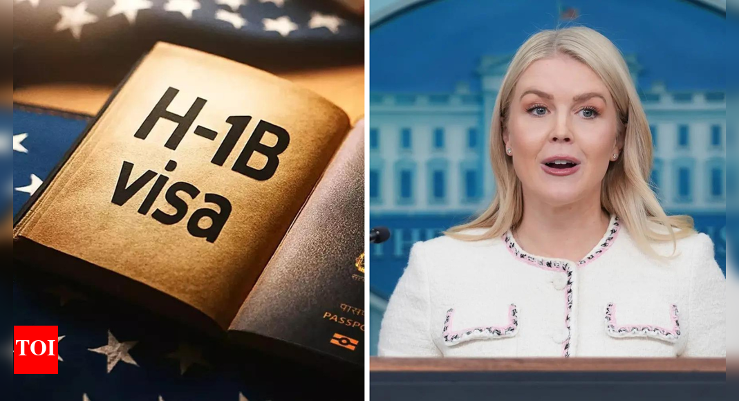 'System spammed with fraud': White House' latest justification on H-1B visa fee hike; calls move 'lawful'