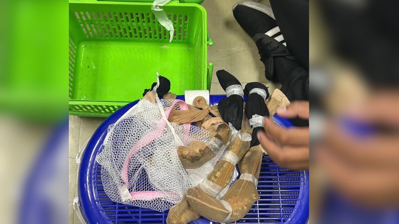 Photo of Puntid Tantivangphaisal