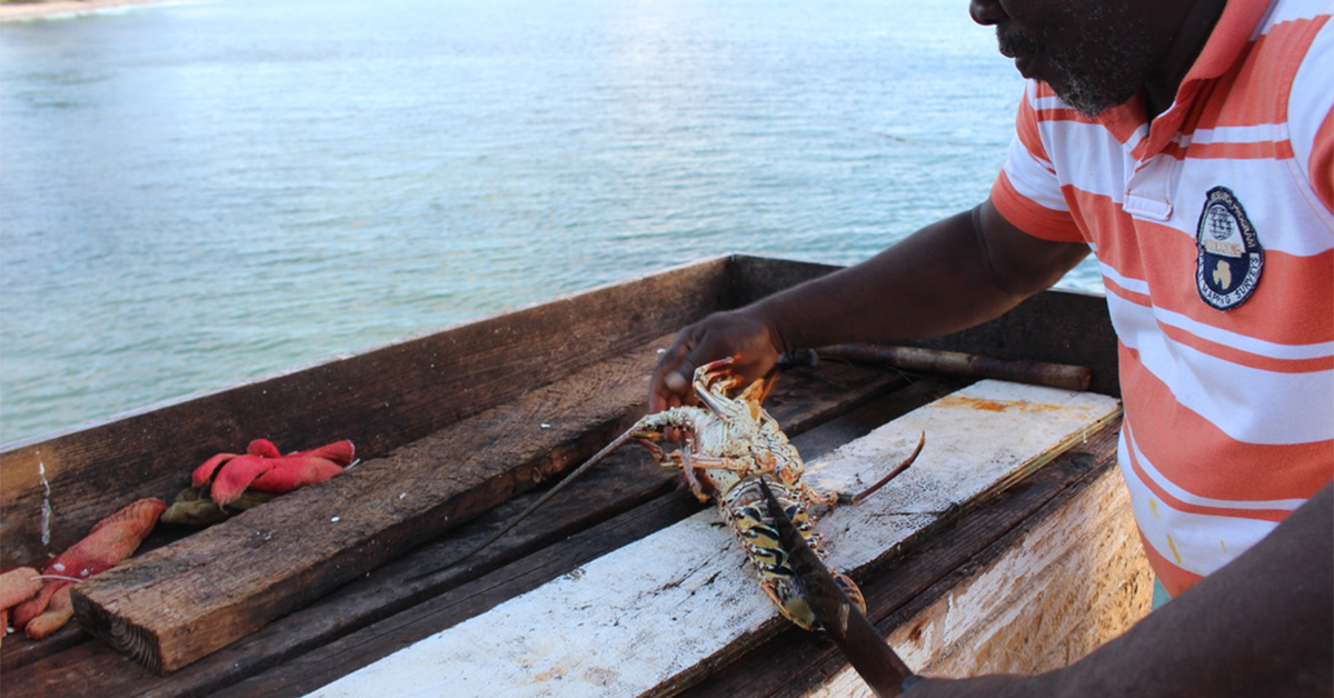 The Caribbean’s Ultimate Lobster Celebration Is On an Uncrowded Island With Spectacular White Sand Beaches