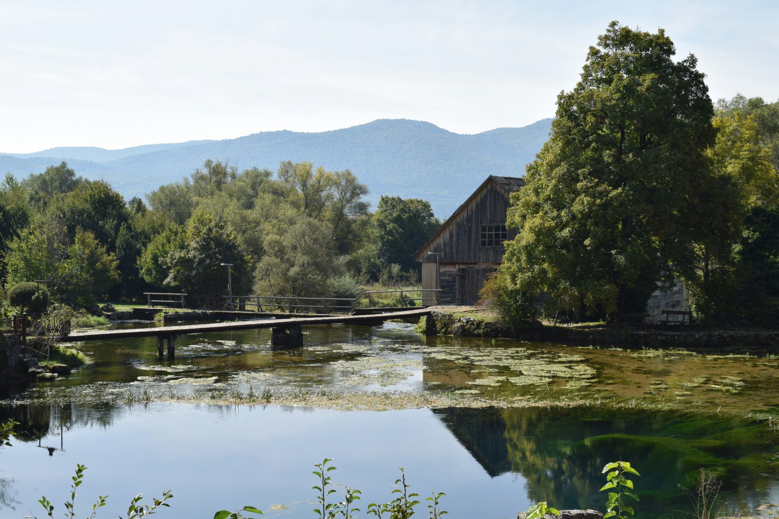 The Croatian River Where Trout Grow 7 Times Faster Than Elsewhere