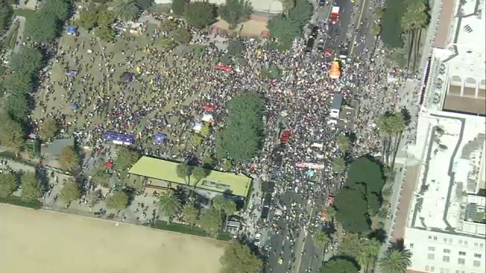 Thousands take part in 'No Kings' protest in downtown LA to protest Trump administration