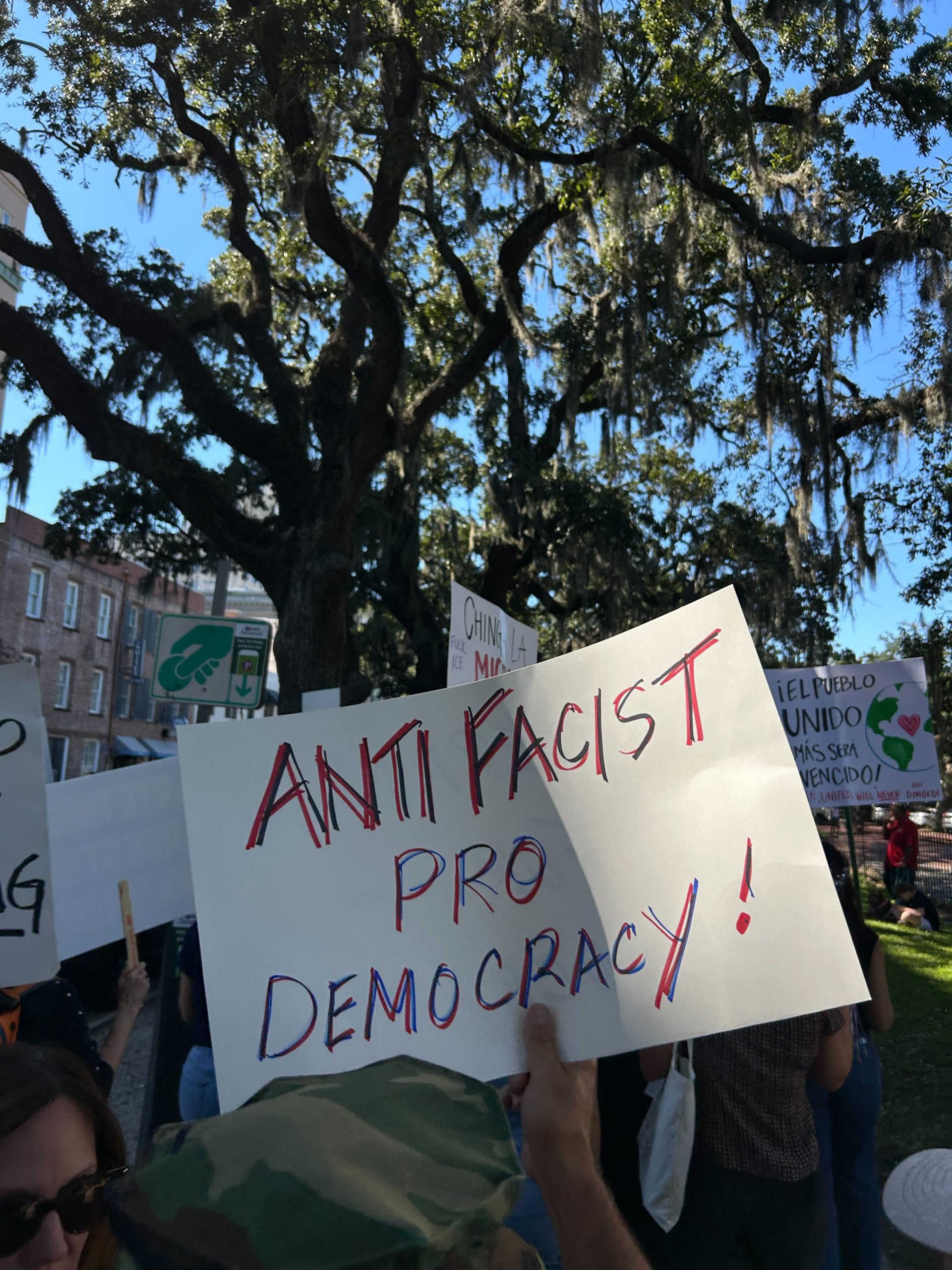 Thousands turn out in Savannah for 'No Kings' protest march